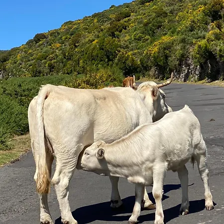 Apartamento Casa Boho Your Happy Place In *