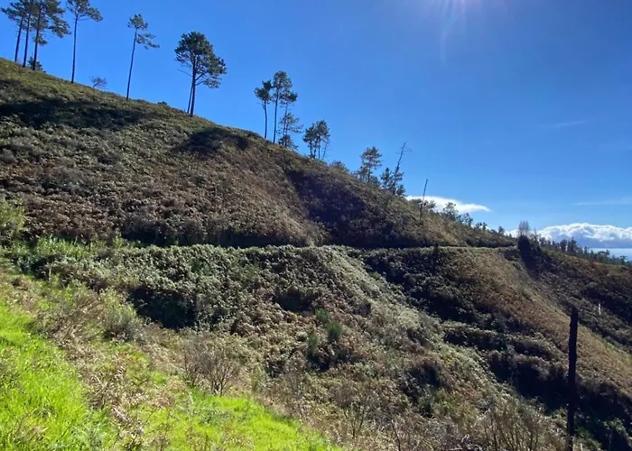 Apartamento Casa Boho Your Happy Place In